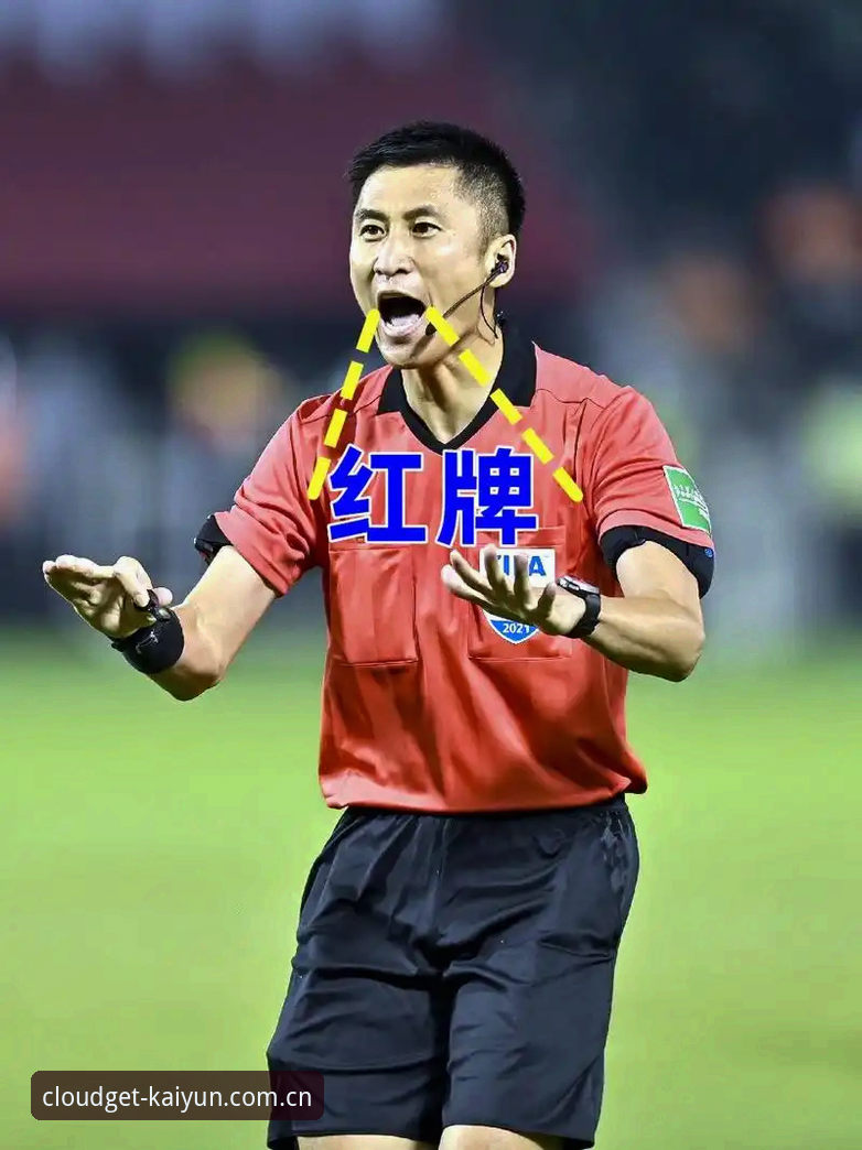 从马宁的世界杯执法观，聊开云体育官网看球赛的3个实用心得